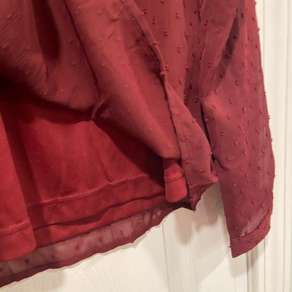 NWT Aconiya Size S Burgundy Swiss Dot Chiffon Lined High Neck Bow Lined Top - Picture 3 of 11